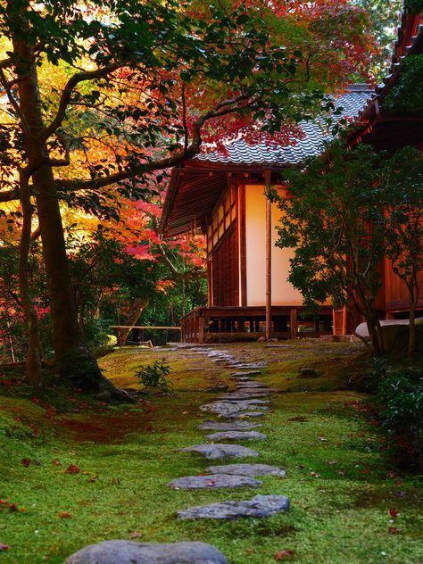 Japanese Temple Garden, Saihoji Temple, Moss Temple, House Location, Temple Gardens, Beautiful Home Gardens, Backyard Balcony, Vertical Garden Wall, Asian Garden