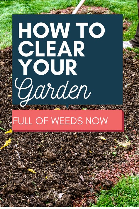 Get Rid Of Weeds In Rocks, Garden Cleaning, Beautiful Garden Ideas Diy Projects, Weeding The Garden Tips, Garden Clean Up, How To Get Rid Of Weeds In Garden, How To Get Rid Of Weeds In Rocks, Weeding The Garden, Weeds In Garden