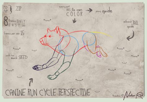 Wolf Running Cycle, Running Wolf Drawing, Perspective Base, Animation Drawing Sketches, Animation Tips, Wolf Running, Canine Drawing, Animal Movement, Run Cycle