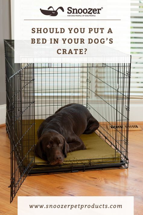 Animal Rescue Ideas, Dog Crate Pad, Dog Crate Pads, Puppy Kennel, Plush Dog Bed, Dog Crate Bed, Dog Crate Cover, Puppy Crate, Crate Bed