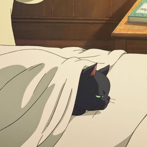 A Blanket, A Black, Black Cat, Anime, White, Black