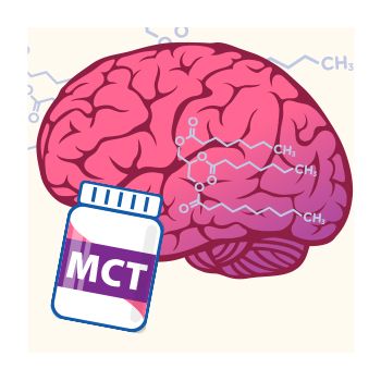 Four Proven Health Benefits of MCT | Natural Grocers Natural Grocers, Mental Fortitude, Improve Cognitive Function, High Fat Diet, Brain Fog, Body Composition, Health Articles, Energy Level, Body Health