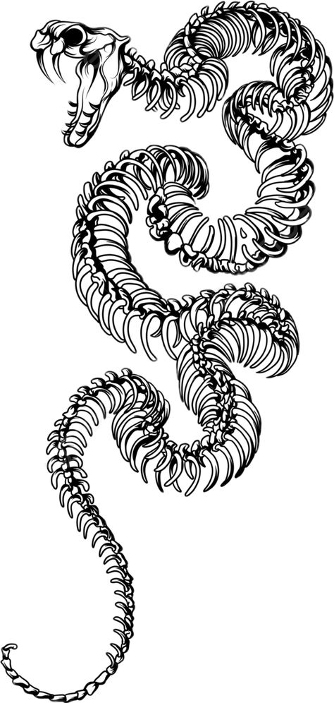 Tattoo Designs Png, Sketch Snake, Drawing Snake, Snake Sketch, Stammestattoo Designs, Line Art Tattoo, 16 Tattoo, Snake Drawing, Clever Tattoos