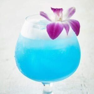 Sparkling Blue Hawaiian Cocktail - Print Blue Alcoholic Punch, Blue Hawaii Drink, Blue Hawaiian Drink, Blue Hawaiian Cocktail, Tropical Cocktail Recipes, Rum Punch Cocktail, Hawaiian Drinks, Blue Curacao Liqueur, Italian Cream Soda