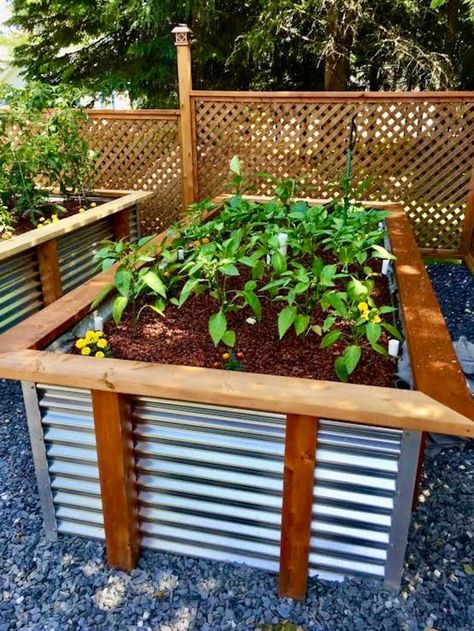 Backyard Vegetable Garden Design, Vegetable Garden Design Ideas, Garden Bed Plans, Ground Garden, Backyard Vegetable Garden, Gambrel Barn, Metal Garden Beds, Raised Gardens, Raised Bed Garden Design