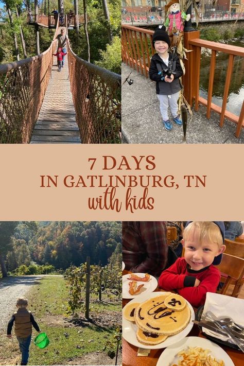 Smoky Mountains Family Vacation, Gatlinburg With Toddlers, Things To Do In Gatlinburg With Kids, Smokey Mountains With Kids, Gatlinburg With Kids, Great Smoky Mountains With Kids, Gatlinburg Tennessee Things To Do In, Gatlinburg Tennessee With Kids, Smokey Mountain National Park