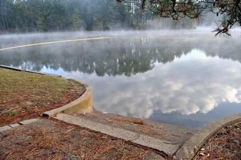 Crockett National Forest in Texas | Ratcliff Lake campground - Davy Crockett National Forest (TX)/davy9 Davy Crockett National Forest, Texas Summer, Davy Crockett, East Texas, Summer Road Trip, Stars At Night, National Forest, Outdoor Fun, Travel Usa