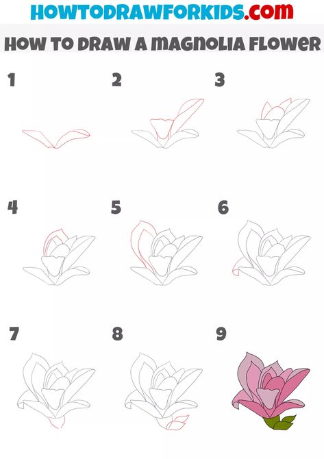 Magnolia Flower Drawing Step By Step, How To Draw A Magnolia Flower, Small Flower Drawings, Acryl Painting, Easy Draw, Flower Step By Step, Pencil Drawings For Beginners, How To Draw Steps, Flower Drawing Tutorials