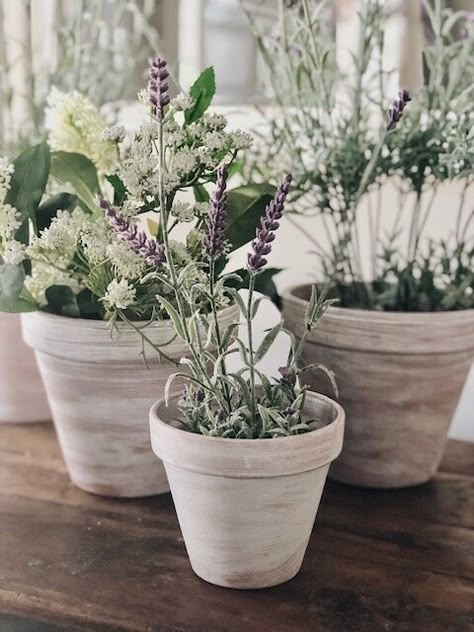 Small Terra Cotta Pots, Terra Cotta Flower Pots, Terra Cotta Pot Wedding Decor, Chalk Paint Terra Cotta Pots, White Terra Cotta Pots, Flowers In Terracotta Pots, White Terracotta Pots, Plants In White Pots, White Wash Terra Cotta Pots