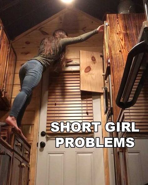 Short Girl Quotes Funny, Tall People Memes, Short People Humor, Hannah Barron, Short Girl Quotes, Short People Problems, Short Girl Problems, Girl Meme, Storm Quotes