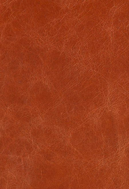 Hermes orange leather seat covering Texture Cuir, Speakeasy Decor, Hermes Orange, Orange Texture, Flower Collage, Burnt Orange Color, Orange Background, Leather Books, Leather Texture