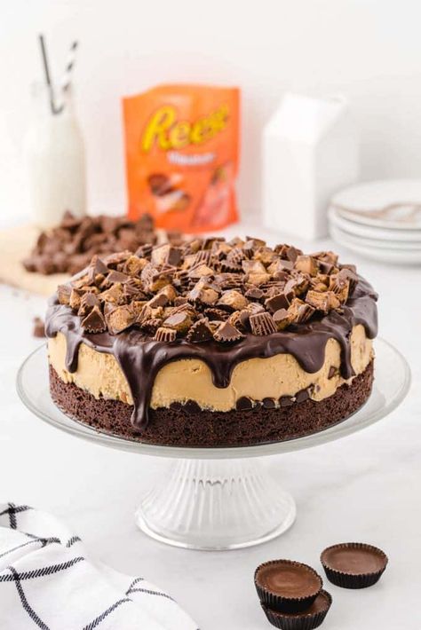 Reese's Cheesecake - Princess Pinky Girl Reece’s Cheesecake, No Bake Reeses Cheesecake, Reese’s Cheesecake, Reese's Cheesecake, Reese's Peanut Butter Cheesecake, Reeses Cheesecake, Peanut Butter Cheesecake Recipes, Brownie Crust, Cup Cheesecake