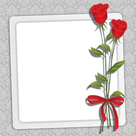 Bill rose frame Anniversary Photo Frame, Photo Frame App, Developing Photos, App Frame, Two Roses, Draw Shapes, Anniversary Photo, Free Photo Frames, Photo Art Frame