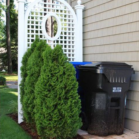 9 Ways to Disguise Your Trash Bin — The Family Handyman Trash Can Storage Outdoor, Indoor Floor Plants, Patio Chico, Hide Trash Cans, Garbage Can Storage, Shed Landscaping, Outdoor Trash Cans, The Family Handyman, Outdoor Remodel