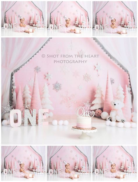 Princess Cake Smash, Winter Onederland Party Girl 1st Birthdays, Winter Onederland Party Girl, Winter Onederland Cake, Cake Winter, First Birthday Winter, Cake Smash Theme, Winter Onederland Birthday Party, 1st Birthday Girl Decorations