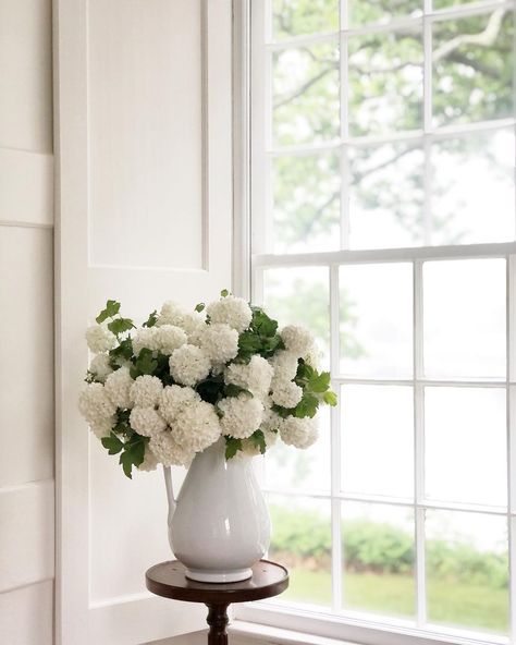 Snowball Viburnum, Sunday Kind Of Love, Large Bouquet, Instagram Creative, Spring Garden, In The Rain, Hydrangea, Flower Girl, Instagram Profile