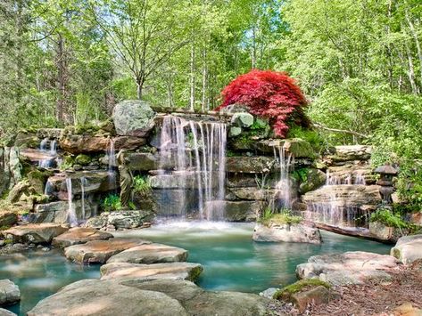 Swamp Rabbit Trail, Travelers Rest Sc, Travelers Rest, Pergola Swing, Bald Cypress, Natural Pond, Paradise Found, Wildlife Habitat, Big Leaves