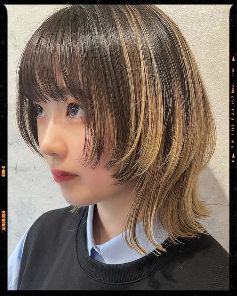 Bangs And Framing Face, Hair Cuts 2022 Trends Short, Wolfcut With Bangs, Hair Down Quinceanera Hairstyles, Down Quinceanera Hairstyles, Shaggy Lob, Fashion Haircut, Hair Wolfcut, Shortish Hair