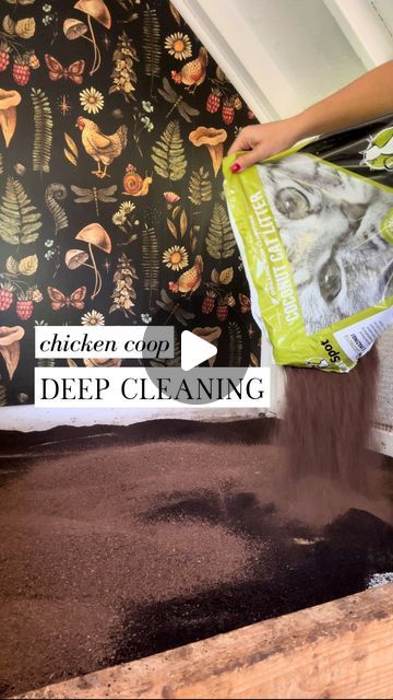 Alysha Whitfield | Bee Jeweled Coop on Instagram: "Here is your 🔑 to a clean chicken coop! 🫧🐓  ✨comment “CLEAN COOP” for all of my sift-able litter products and a checklist for an easy coop maintenance routine ✨  Cleaning your chicken coop doesn’t have to be a daunting task. The secret is daily cleaning + using the right substrate.  If you commit to cleaning your coop daily, just like you would clean a horse stall or litter box, it makes chicken-keeping and coop maintenance so much more enjoyable. And if you happen to go out of town for a week, a well-maintained coop will still be in better shape when you return!  Along with daily cleaning, you’ll want to do seasonal litter + bedding replacement and annual/semi-annual deep cleaning to keep your chicken coop in tip-top shape.   I broke m Chicken Coop Curtains, Clean Chicken Coop, Maintenance Routine, Clean Chicken, Chicken Coup, Chicken Keeping, Horse Stall, Horse Stalls, Daily Cleaning