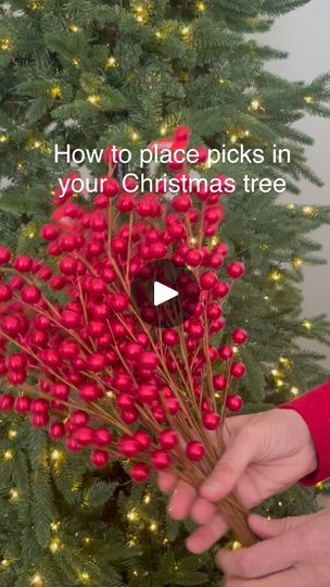 10K views · 1.8K reactions | Answering another one of the questions you all ask…how can I get picks to look good in my tree? It really is very simple, it’s all about placement and direction. It’s important to scatter them through the tree and place them on the branches in a downward direction. We love to use a lot of different picks when we decorate our trees but for the purpose of this demonstration we just used one type. Hope this helps 🎄❤️.
.
.
.
.
.
.
.
.
.
.#christmasinjuly #christmastreegoals #holidayinspo #christmasinspo #christmastips #ohchristmastree #diychristmas #christmastreedesigner 
#diyholiday #diydecor #ksforeverdesigns | Keri Collins & Suzanne Higgins | Crazy Fox · Christmas Vibes Christmas Tree Picks And Sprays Decor, Branches In Christmas Tree, Sprays On Christmas Tree, Christmas Tree Beads Ideas, Red And Buffalo Plaid Christmas Tree, How To Professionally Decorate A Christmas Tree, Xmas Tree Branches Ideas, Using Picks In A Christmas Tree, Simple Christmas Trees Ideas