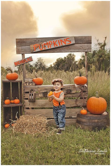 Pumpkin Patch Decorations Fall Harvest, Pumpkin Stand Photoshoot, Pumpkin Farm Display, Pumpkin Stand Mini Session, Pumpkin Patch Minis, Diy Pumpkin Patch Photo Shoot, Pumpkin Patch Photo Op Ideas, Pumpkin Patch Ideas Diy, Pumpkin Patch Photo Backdrop