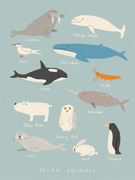 Polar Animals | Paper Ghost Press Paper Ghost, Illustration Animals, Animals Illustration, Polar Animals, Drawing Animals, Animals Nursery, Animal Doodles, Cute Animal Illustration, Arctic Animals