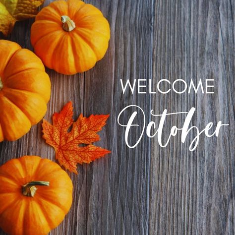 Welcome October, Pumpkin Smash, October Baby, What Is Your Goal, Hello October, New Month, Med Spa, Toledo, Fun Activities