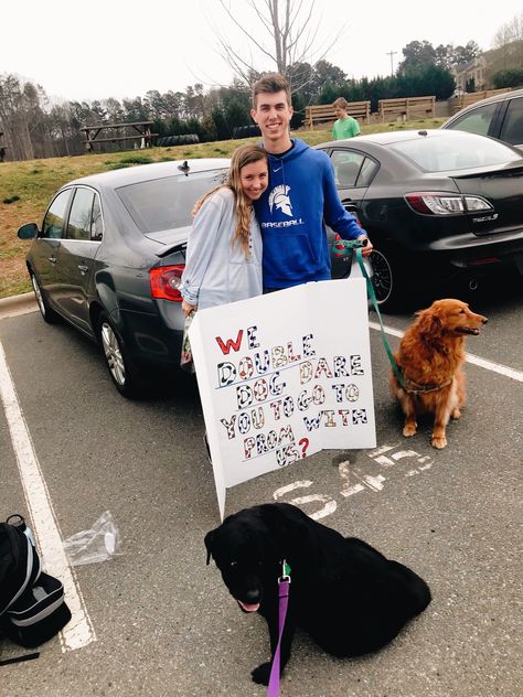 Dog Dance Proposal, Dog Promposal Ideas, Dog Promposal, Reply Ideas, Prom Signs, Prom Posals, Hoco Signs, Sadies Proposal, Formal Proposals