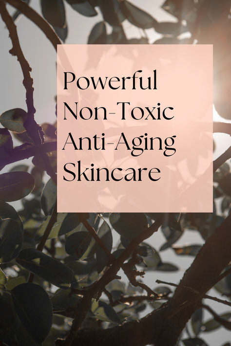 Revamp your skincare routine with non-toxic products that work! Our guide to the best skincare products for women over 40 will help you reclaim your radiance. Say goodbye to harmful chemicals and hello to clean beauty. Achieve glowing skin with ease.   #skincareforwomenover40 #nontoxicskincare #cleanbeauty #antiagingskincare Fake Tanning Routine, Tanning Hacks, Non Toxic Beauty Products, Best Tanning Products, Non Toxic Skincare, Toxin Free Skincare, Tanning Routine, Nontoxic Skincare, Toxic Products