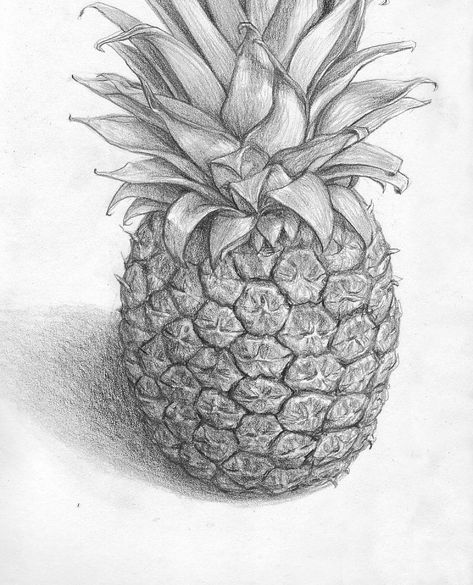 Pineapple Sketch, Pineapple Drawing, Realistic Sketch, Colored Pencil Tutorial, Still Life Drawing, Expressive Art, Art Courses, Arbonne, Realistic Art