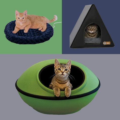 Heat-seeking felines of all kinds appreciate a cozy heated cat bed. Learn how to choose the right one for your cat, and see our top-rated picks. Outdoor Cat Bed, Bed Heater, Heated Cat House, Heated Cat Bed, Space Blanket, Cat Houses, House Heating, The Family Handyman, Outdoor Cat