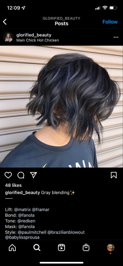 Ash Highlights For Dark Brown Hair Short, Dark Ash Grey Hair Color, Short Dark Hair With Highlights, Black Hair With Subtle Highlights, Charcoal Grey Hair, Ash Gray Hair Color, Ash Grey Hair, Highlights For Dark Brown Hair, Grey Highlights