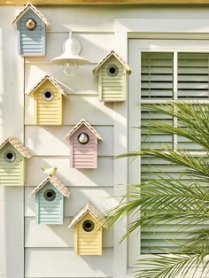 Birdhouse Wall, Sweet Display, Bird House Feeder, Bird Houses Painted, Diy Bird Feeder, Bird Houses Diy, Bird Boxes, Nice Colors, Popsicle Sticks