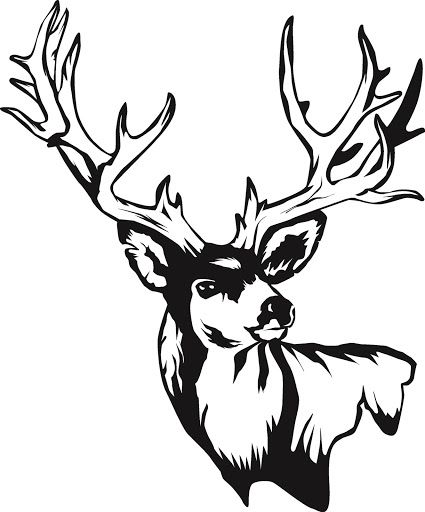 deer%20skull%20drawing Moose Svg, Hirsch Silhouette, Hirsch Tattoo, Deer Decal, Moose Silhouette, Molduras Vintage, Deer Svg, Deer Drawing, Deer Wall Art