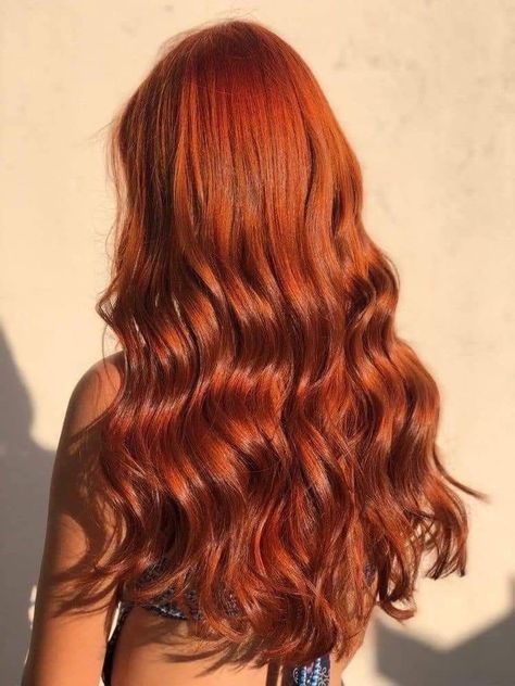 Ginger Hair Color Dark, Dark Orange Hair, Roux Auburn, Pretty Red Hair, Red Hair Inspiration, Hair Orange, Red Hair Inspo, Ginger Hair Color, Henna Hair