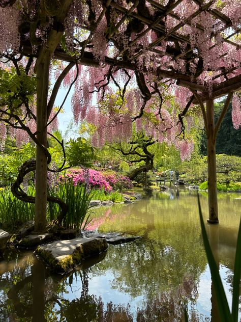 seattle japanese garden :) Kubota Garden Seattle, Japanese Garden Photography, Japanese Spring Aesthetic, Japanese Garden Flowers, Japanese Botanical Garden, Seattle Arboretum, Japanese Garden Aesthetic, Japanese Garden Wallpaper, Japanese Flower Garden