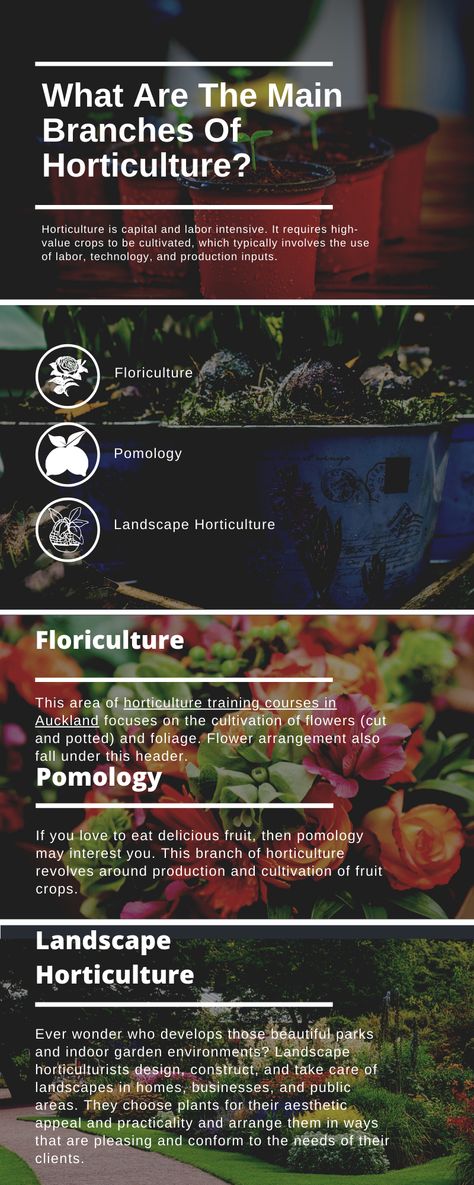 The horticulture industry can be divided into three areas: Floriculture, Pomology, and Landscape Horticulture. Pomology is the planting, harvesting, storing, processing, and marketing of fruit and nut crop. Floriculture is the planting, harvesting, storing, processing and marketing of flower crop. Visit us now for more information. Horticulture Education, Biology Facts, Social Development, Ffa, Self Assessment, Education And Training, Christchurch, Training Courses, Gardening Ideas