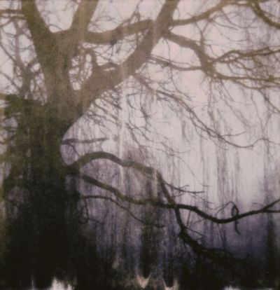 Nona Limmen, Mazzy Star, Southern Gothic, Season Of The Witch, Pics Art, Pretty Pictures, The Winter, Art Photography, Witch