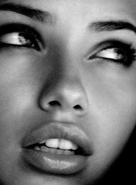 Eyes Kily Jenner, Button Nose, Farrah Fawcett, Linda Evangelista, Nose Job, Michelle Williams, Halle Berry, Black And White Portraits, White Image