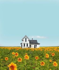 Dreaming of a Home to Call Our Own Country Fields, Country Scenery, Farm Houses, Sunflower Field, Old Farm Houses, Farms Living, Sunflower Fields, Old Barns, Old Farm