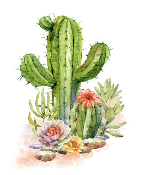 Cactus Flower Painting, Cactus Paintings, Christmas Cactus Plant, Cactus Drawing, Flower Pot Design, Watercolor Succulents, Succulent Art, Cactus Painting, Cactus Decor