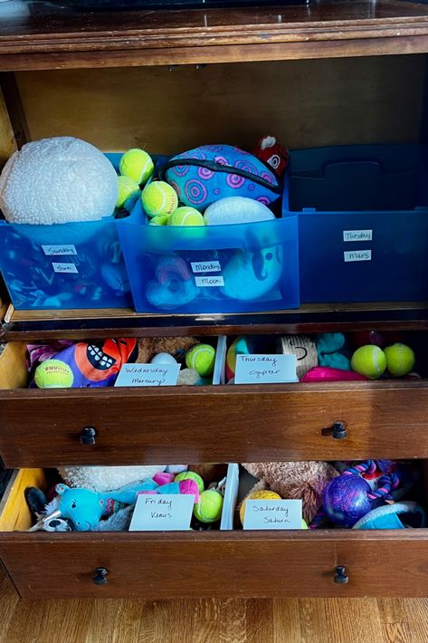 This dog toy library was created using repurposed storage items. A neighbor offered The antique cabinet for disposal, and the plastic bins came from toy storage the children no longer needed. The library keeps the toys organized and makes it easy to rotate them daily. Rotating the toys keeps them attractive to the dog, saves money, and increases happiness for the whole family! Repurposed Storage, Dog Supplies Organization, Toy Library, Canine Enrichment, The Toys, Plastic Bins, Antique Cabinets, Dog Gear, Dog Breeder