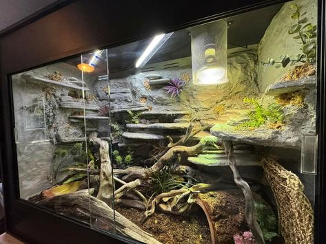 40 Gallon Bearded Dragon Tank Ideas, 4x2x2 Bearded Dragon Enclosure Diy, Bearded Dragon Terrarium Diy Dresser, Bearded Dragon Tank Decor, Bearded Dragon Aesthetic Tank, Bearded Dragon Setup, Lizard Terrarium, Bearded Dragon Vivarium, Hermit Crab Tank