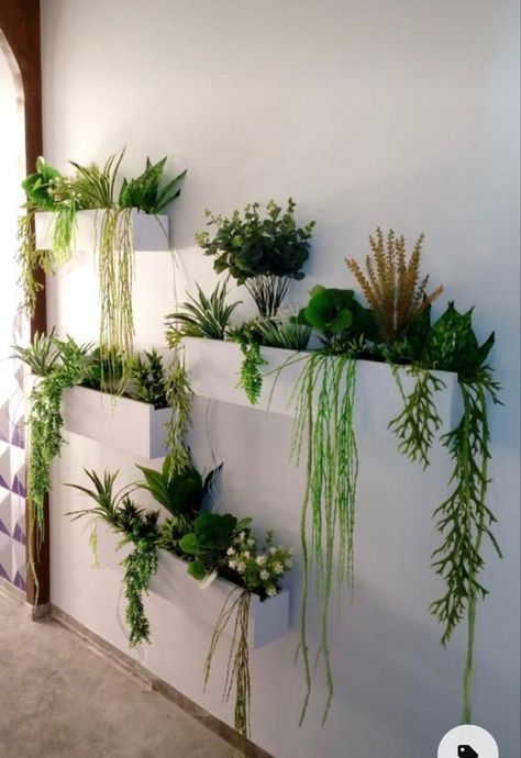 Home decor wall decor Wall art Wall decoration Wall decor bedroom Green Plant Wall Indoor, Plant Stands For Large Plants, Wall Plant Propagation, Hang Plants On Wall, Diy Living Wall Indoor, Indoor Wall Planter Ideas, Plant Accent Wall, Indoor Vertical Garden Wall, Plant Wall Ideas Indoor