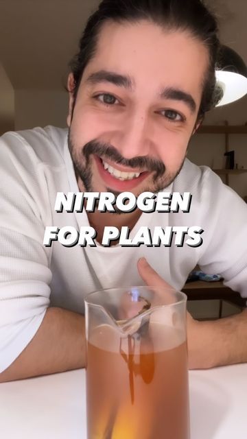 Nitrogen For Plants Diy, Diy Plant Nutrients, Plant Hacks Tips, Diy Plant Food Houseplant, Diy Plant Food, Regrow Veggies, Nitrogen For Plants, Plant Food Diy, Indoor Gardening Diy