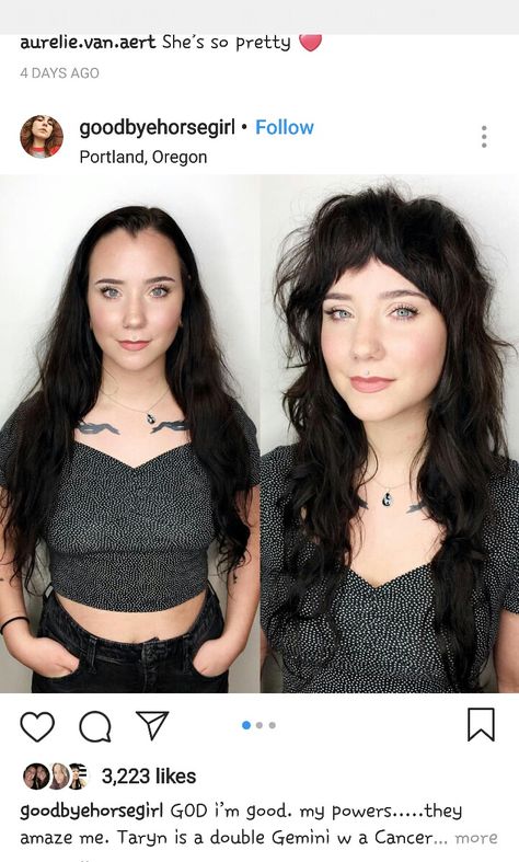 Shaggy Wolfcut Wig, Corte Mullet, Megan Fox Hair, Under Cut, Long Shag Haircut, Fox Hair, Hair Dark, Edgy Hair, Shag Haircut