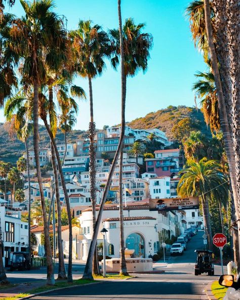 Santa Catalina Island, California 🌴🌴 📸: [instagram.com/lifeofmikey_] Santa Barbara California Aesthetic, California Bay Area Aesthetic, Catalina Island Aesthetic, Catalina California, Santa Catalina Island California, Avalon Catalina Island, Long Beach California Photography, Catalina Island California, Santa Catalina Island