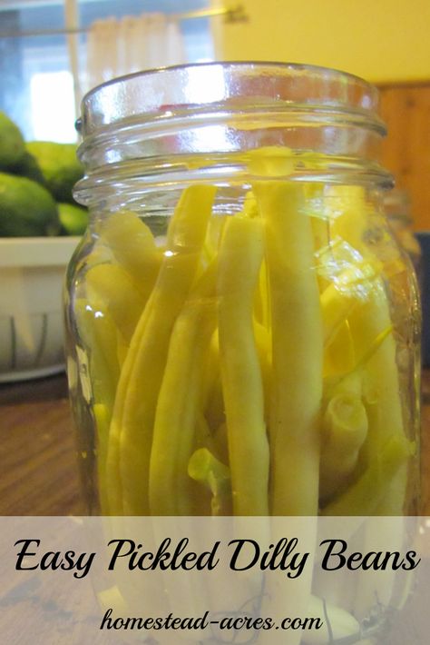 Easy to make Pickled Dilly Beans!  These are one of my favourite pickles and make a great snack. Yellow Beans Recipe, Yellow Beans, Purple Beans, Pickle Vodka, Pickled Green Beans, Dilly Beans, Easy Canning, Canning Pickles, Can Green Beans