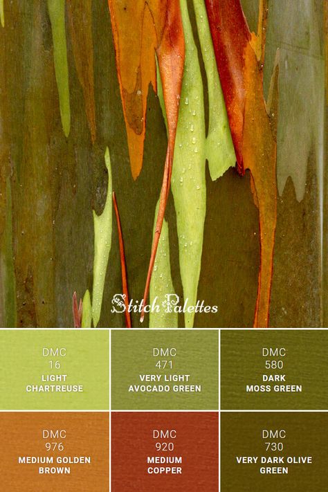 Floss color inspiration for cross stitch and embroidery projects. Thread colors used: DMC 730: Very Dark Olive Green / DMC 580: Dark Moss Green / DMC 471: Very Light Avocado Green / DMC 16: Light Chartreuse / DMC 976: Medium Golden Brown / DMC 920: Medium Copper. Palette ID: SPA0490 Green Copper Palette, Lime Green And Brown Color Palette, Olive And Orange Color Scheme, Colors That Match Brown, Dark Olive Color Palette, Avocado Green Color Palette, Olive Green Complimentary Colors, Avocado Color Palette, Moss Green Color Palette