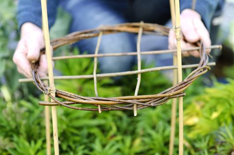 Find out how to create homemade plant supports using willow and bamboo, with the help of our easy step by step guide, from BBC Gardeners' World Magazine. Willow Crafts Ideas, Willow Plant, Garden Vines, Have Inspiration, Diy Garden Projects, Plant Supports, Garden Trellis, Diy Plants, Garden Structures